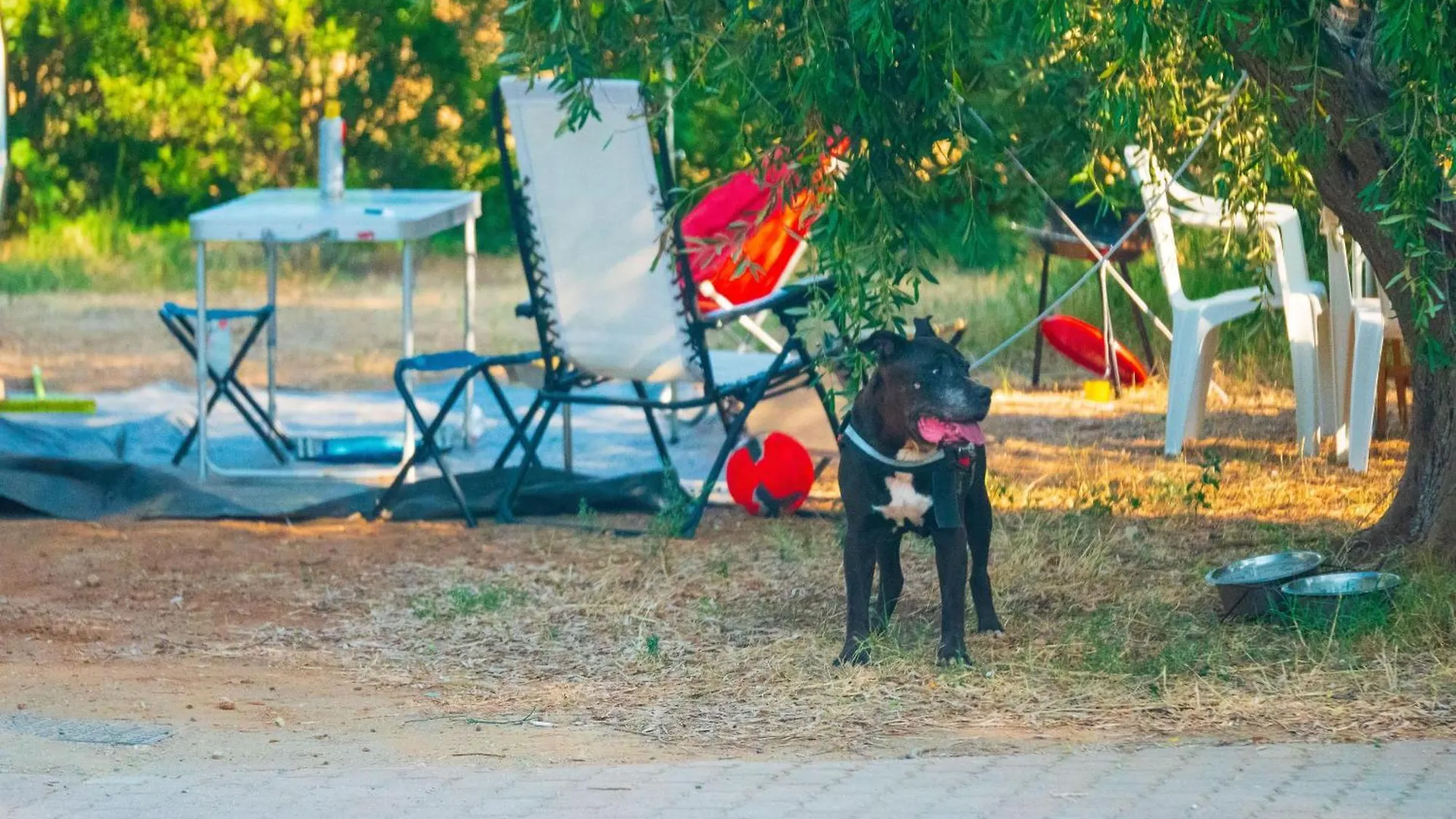 Camping Gitavillage Talamone